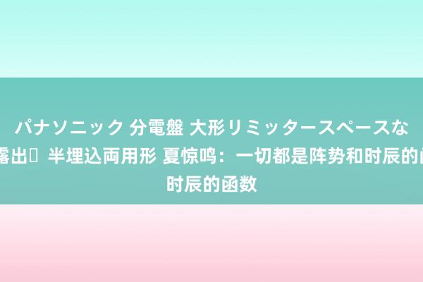 パナソニック 分電盤 大形リミッタースペースなし 露出・半埋込両用形 夏惊鸣：一切都是阵势和时辰的函数