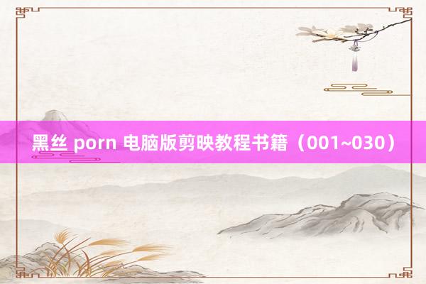 黑丝 porn 电脑版剪映教程书籍（001~030）
