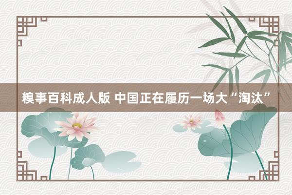 糗事百科成人版 中国正在履历一场大“淘汰”